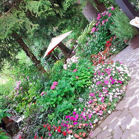 Albergo La Baita Corfino Zewnętrze zdjęcie